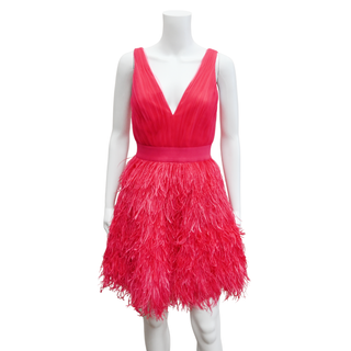 Tegan Feather Party Mini Dress