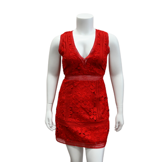 Red Lace Overlay Mini Dress