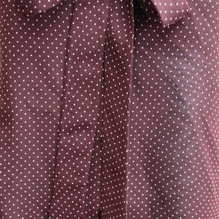 CELINE | Mini Polka-Dot Silk Blouse