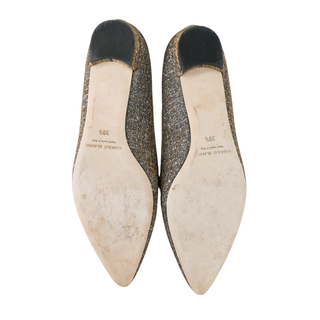 MANOLO BLAHNIK | Hangisi Metallic Embellished Pointed Flats