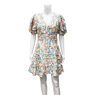 AMUR | Avian Floral Mini Dress