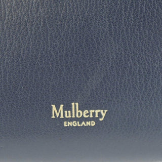 MULBERRY | Colorblock Leather Satchel Bag