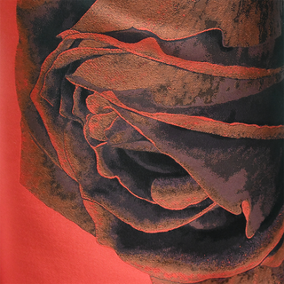 GIAMBATTISTA VALLI | Rose Jacquard Shift Dress