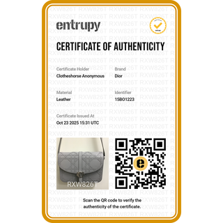 DIOR | Gray Cosmo Laser Cut Cannage Leather Crossbody Bag