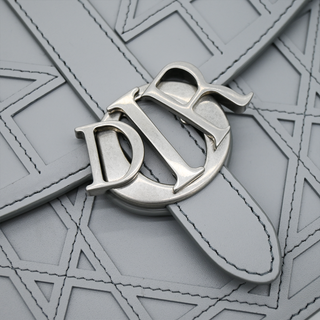 DIOR | Gray Cosmo Laser Cut Cannage Leather Crossbody Bag