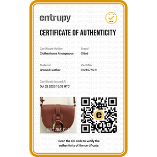 CHLOE | Darryl Tan Leather Saddle Bag