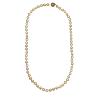 &nbsp; | 14K Pearl Strand Necklace