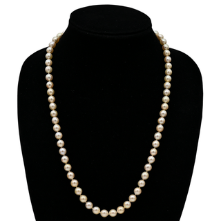 &nbsp; | 14K Pearl Strand Necklace