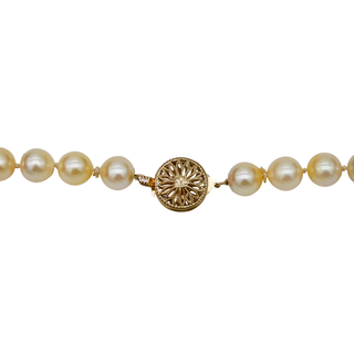 &nbsp; | 14K Pearl Strand Necklace