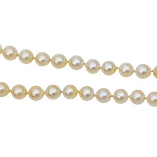 &nbsp; | 14K Pearl Strand Necklace