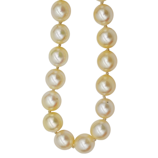 &nbsp; | 14K Pearl Strand Necklace