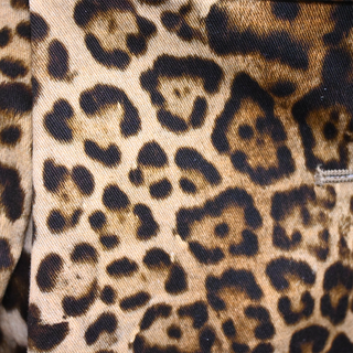 CAROLINA HERRERA | Leopard Print Midi Skirt