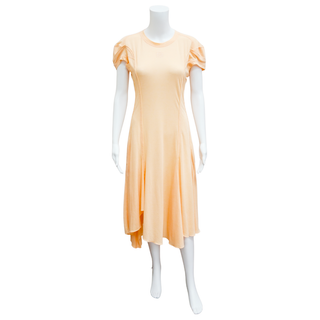 LOEWE | Light Orange Seamed Flare Midi Dress