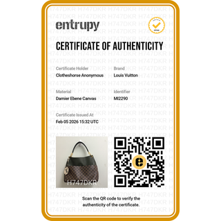 LOUIS VUITTON | Maida Damier Ebene Hobo Bag