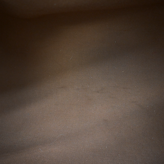 LOUIS VUITTON | Monogram Speedy 40 Duffle Bag