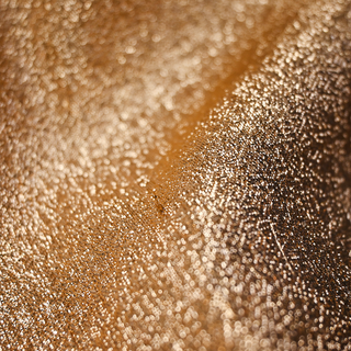 GUCCI | Metallic Gold Lace Accent Slip Dress