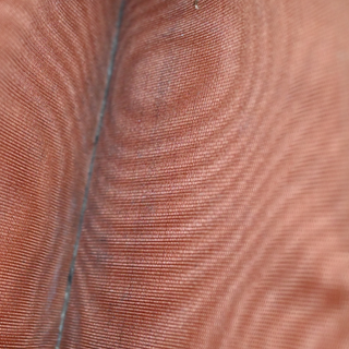 PRADA | Orange Saffiano Zip-Around Continental Wallet