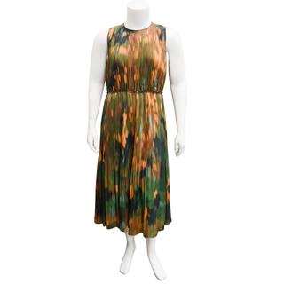 Levana Reverie Print Pleated Midi Dress