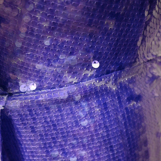 Clyde Purple Sequin Mini Dress