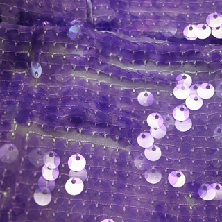 Clyde Purple Sequin Mini Dress