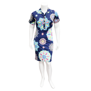 Multicolor Printed Shirt Dress
