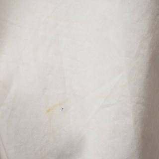ALTUZARRA | Kathleen Optic White Poplin Midi Dress