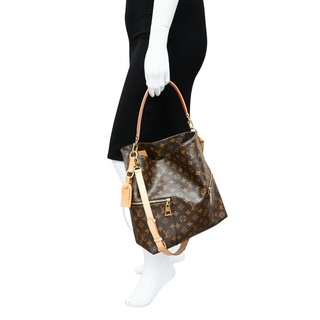 LOUIS VUITTON | Melie Monogram Hobo Bag