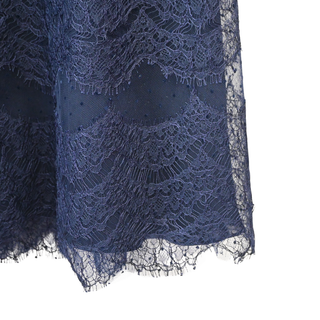DIOR | Navy Sheer Lace Polka Dot Skirt