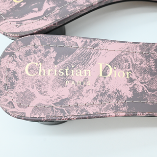 CHRISTIAN DIOR | Pink Toile de Jouy Voyage Dway Heeled Slides