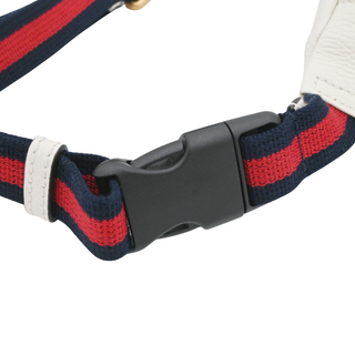 GUCCI | Small Grained Leather Logo Belt Bag