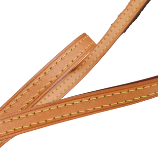 LOUIS VUITTON | Monogram Nano Turenne Bag