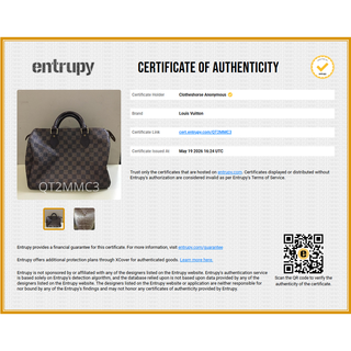 LOUIS VUITTON | Damier Ebene Speedy 30 Bag
