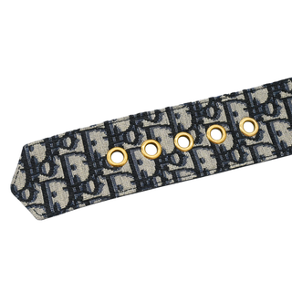Oblique Canvas Logo Belt