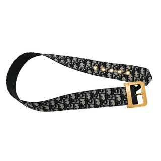 Oblique Canvas Logo Belt