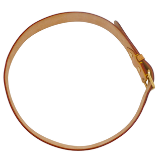 Aquarelle Watercolor Monogram Belt