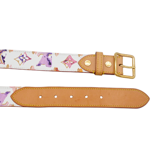 Aquarelle Watercolor Monogram Belt
