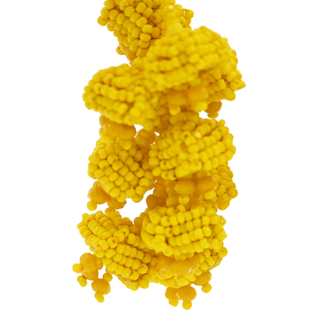 SACHIN & BABI | Golden Rod Grapes Clip Earrings