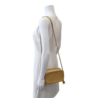Gold Metallic Lambskin Coco Boy Camera Bag