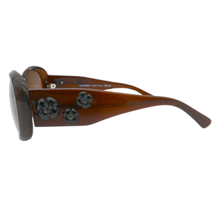 Camelia Brown Oversized Sunglasses