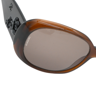 Camelia Brown Oversized Sunglasses