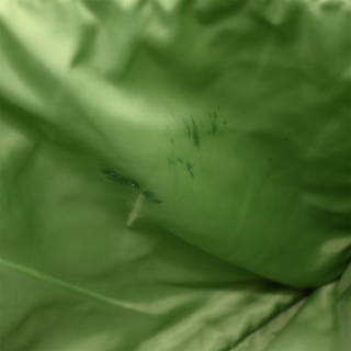 Ella Lime Green Nylon Tote Bag