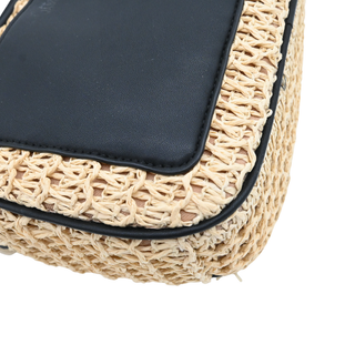 JASON WU | Sylvia Small Straw Camera Crossbody Bag