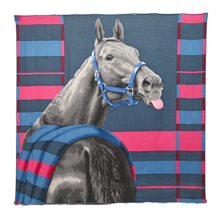 HERMES | Rocabar de Rire Cashmere Scarf