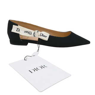 J’Adior Technical Fabric Pointed-Toe Ballet Flats
