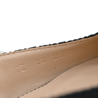 J’Adior Technical Fabric Pointed-Toe Ballet Flats
