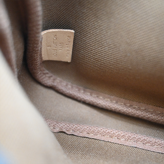 Monogram Multi Pochette Accessories Bag