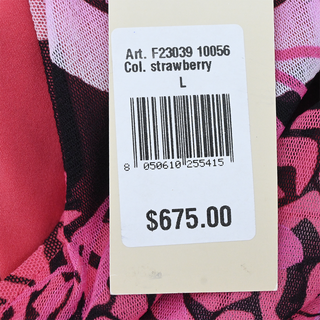 Strawberry Floral Mesh Maxi Dress
