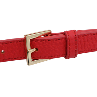 Cherry Red Crown Street Jasper Crossbody Bag