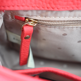 Cherry Red Crown Street Jasper Crossbody Bag