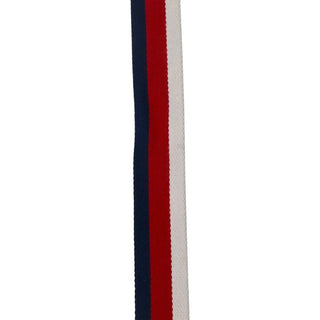 GUCCI | GG Marmont Web Stripe Canvas Belt